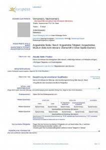 Cv Resume Resume Cv Deutsch